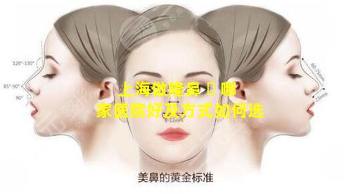 上海做隆鼻 ☘ 哪家医院好及方式如何选